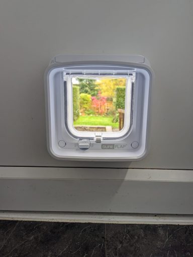 Square window with a view of a garden featuring colourful plants and trees.