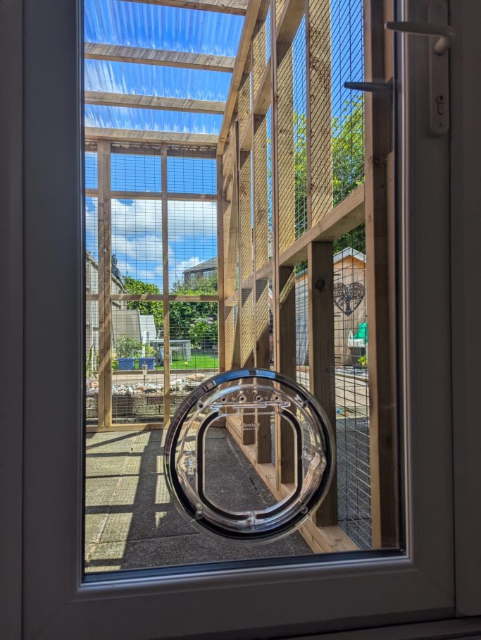 Clear Manual Cat Flap into Glass Clear Manual Cat Flap into Glass