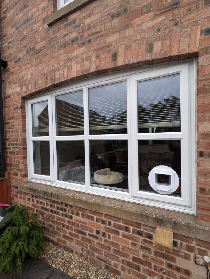 SureFlap Microchip Connect into Window SureFlap Microchip Connect into Window