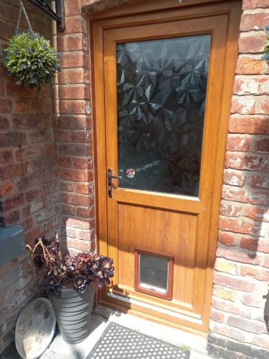 Wooden door with a glass panel and a cat flap, surrounded by brick walls and plants.