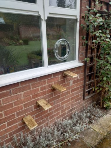 Wooden steps mounted on a brick wall leading to a window, with greenery nearby.